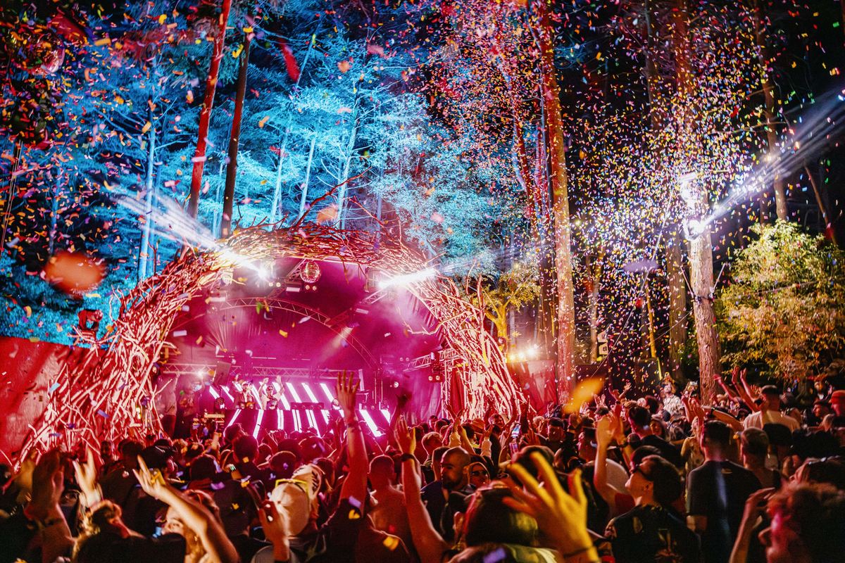 A crowd under falling confetti at a forest stage at Beat-Herder, lit pink and blue.